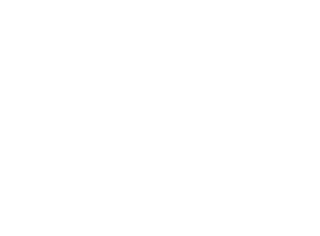 DISCOVERY H&H EN VIVO online