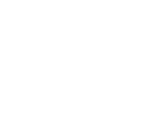 HISTORY EN VIVO online