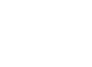 TOONCAST EN VIVO online